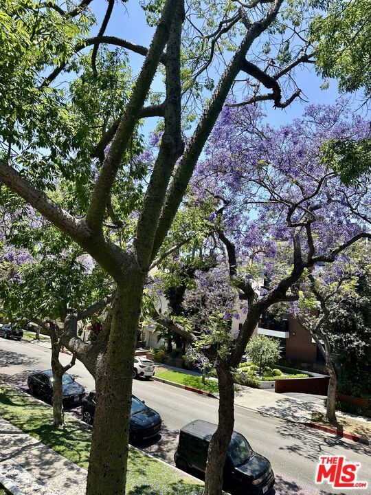 Building Photo - 324 N Palm Dr