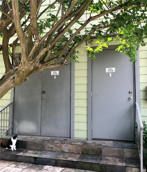 Building Photo - 3204 Menchaca Rd