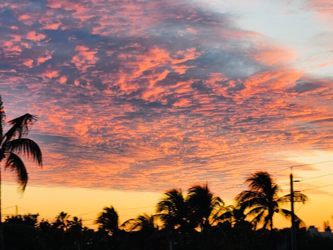 Building Photo - 1237 Hillsboro Mile