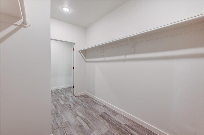 Building Photo - 13103 Beauty Berry Ridge Ln
