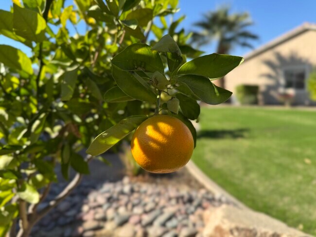 Building Photo - 80372 Camino San Lucas