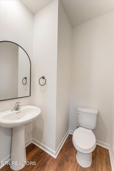 Building Photo - 1013 Curly Top Ln