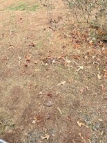 Building Photo - 1002 Drinking Swamp Rd