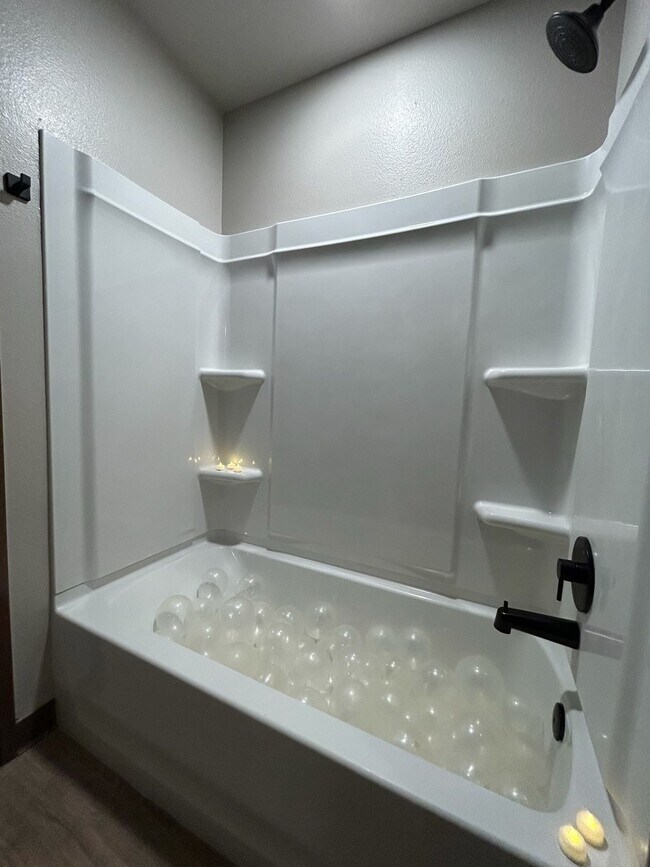 Building Photo - Beautiful, Cozy, Brand New Studio near CSU