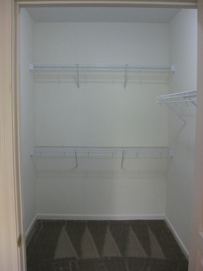 Walk-in master closet - 295 Skyview Ct