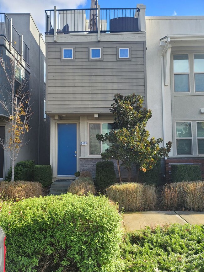 Building Photo - Cozy condo with roof top balcony in Downto...