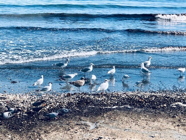 Building Photo - 295 Lynn Shore Dr