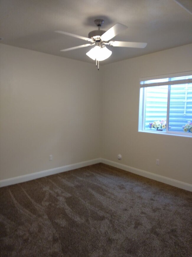 Building Photo - Brand New Daylight Basement Apt.