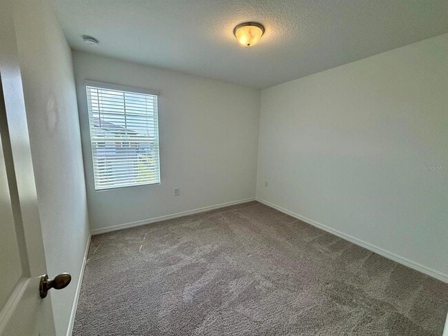 Building Photo - 177 Mandovi St