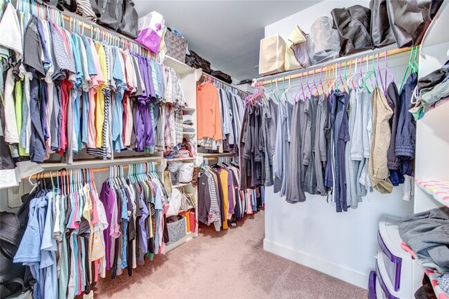 Building Photo - 3707 Main Poplar Dr