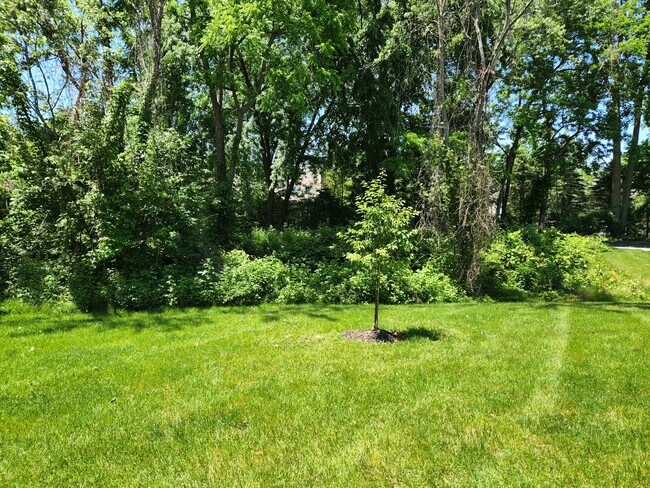 Building Photo - 333 Maddalena Ln