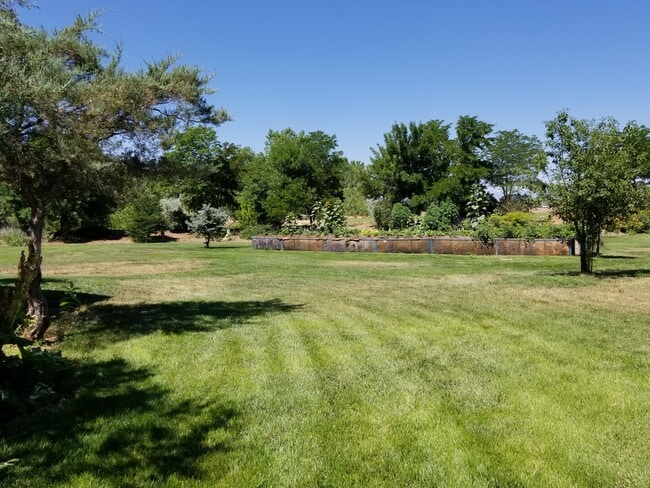 Backyard with large raised garden - 15155 Washington St