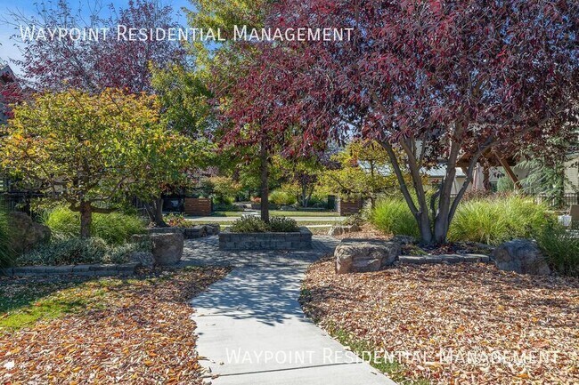 Building Photo - 1415 E Lone Creek Dr