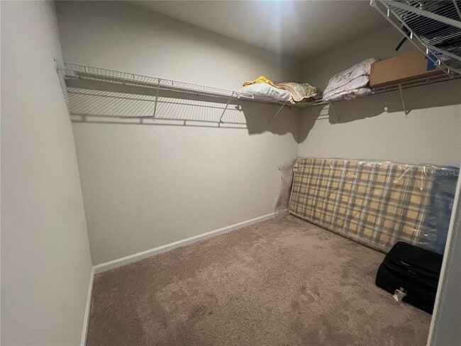 Building Photo - 1684 Ambar Ct