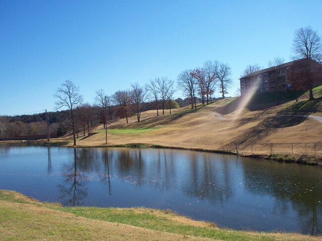 What a view! 1 Bedroom 1 Bath Walk-in at... - What a view!  1 Bedroom 1 Bath  Walk-in at...