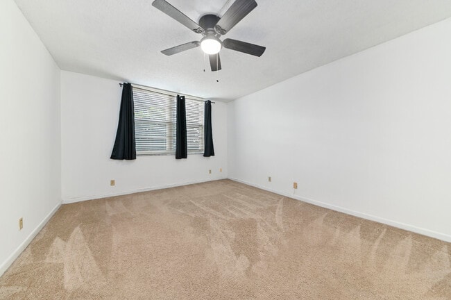 Building Photo - 250 Jacaranda Dr