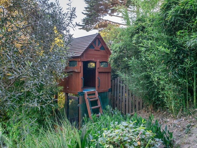 Building Photo - Luxurious Sausalito Breathtaking View Masterpiece! 4BR/3.5BA Home + 1BR/1BA Guest House! Parking!...