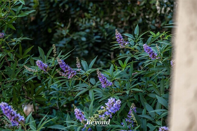 Building Photo - 3308 Parliament Cove