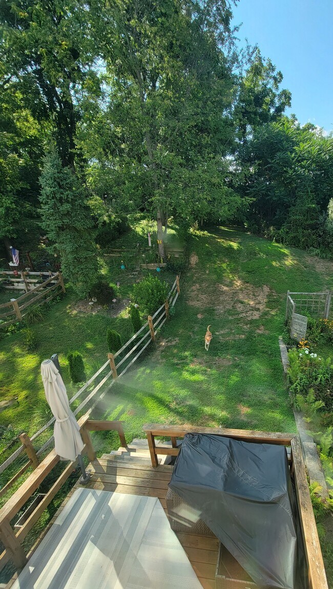 Partially Fenced yard - 555 Coventry Lane