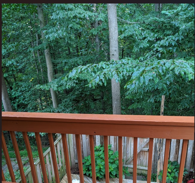 Building Photo - 13533 Ambassador Dr