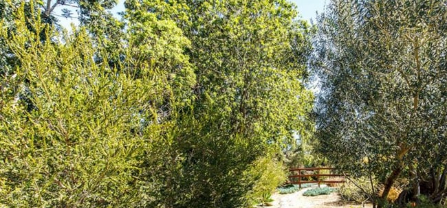 Building Photo - This Beautiful Hacienda Style Home combine...