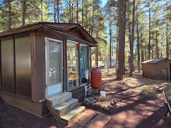 Building Photo - Unique Dome-Shaped Studio Surrounded by Ponderosa Pines