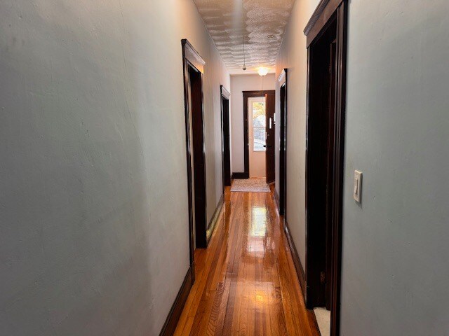 Building Photo - 19 Havelock St