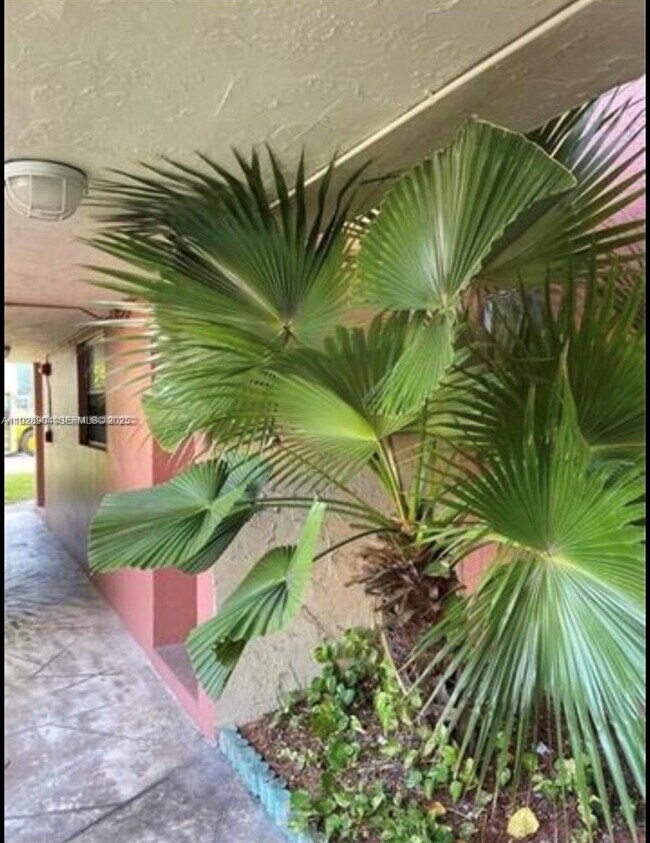 Building Photo - 8775 Park Blvd