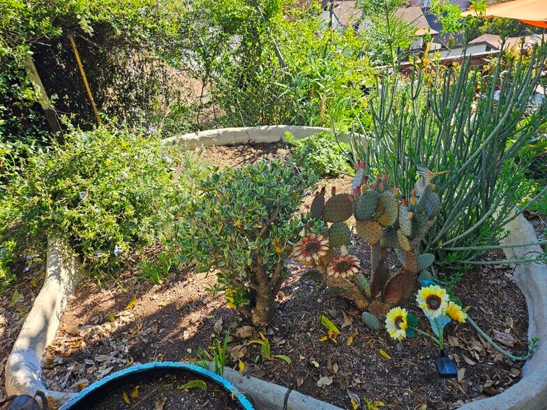 Building Photo - 1442 Lake Shore Ave