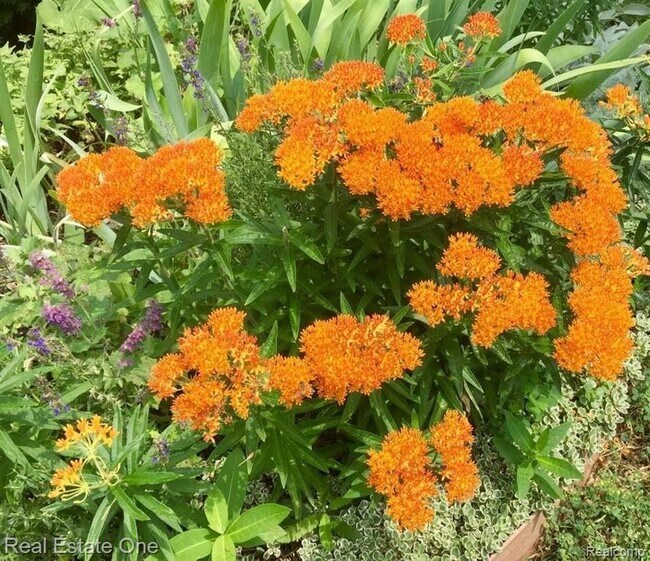 Building Photo - 5837 Folkstone Dr