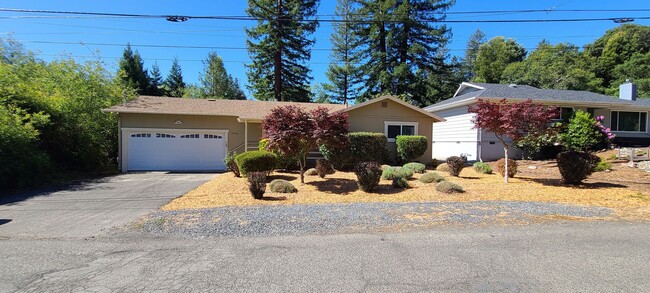 Primary Photo - Walking Distance to Downtown Sebastopol