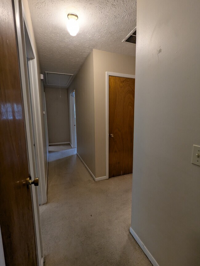 Building Photo - 813 McLemore Dr