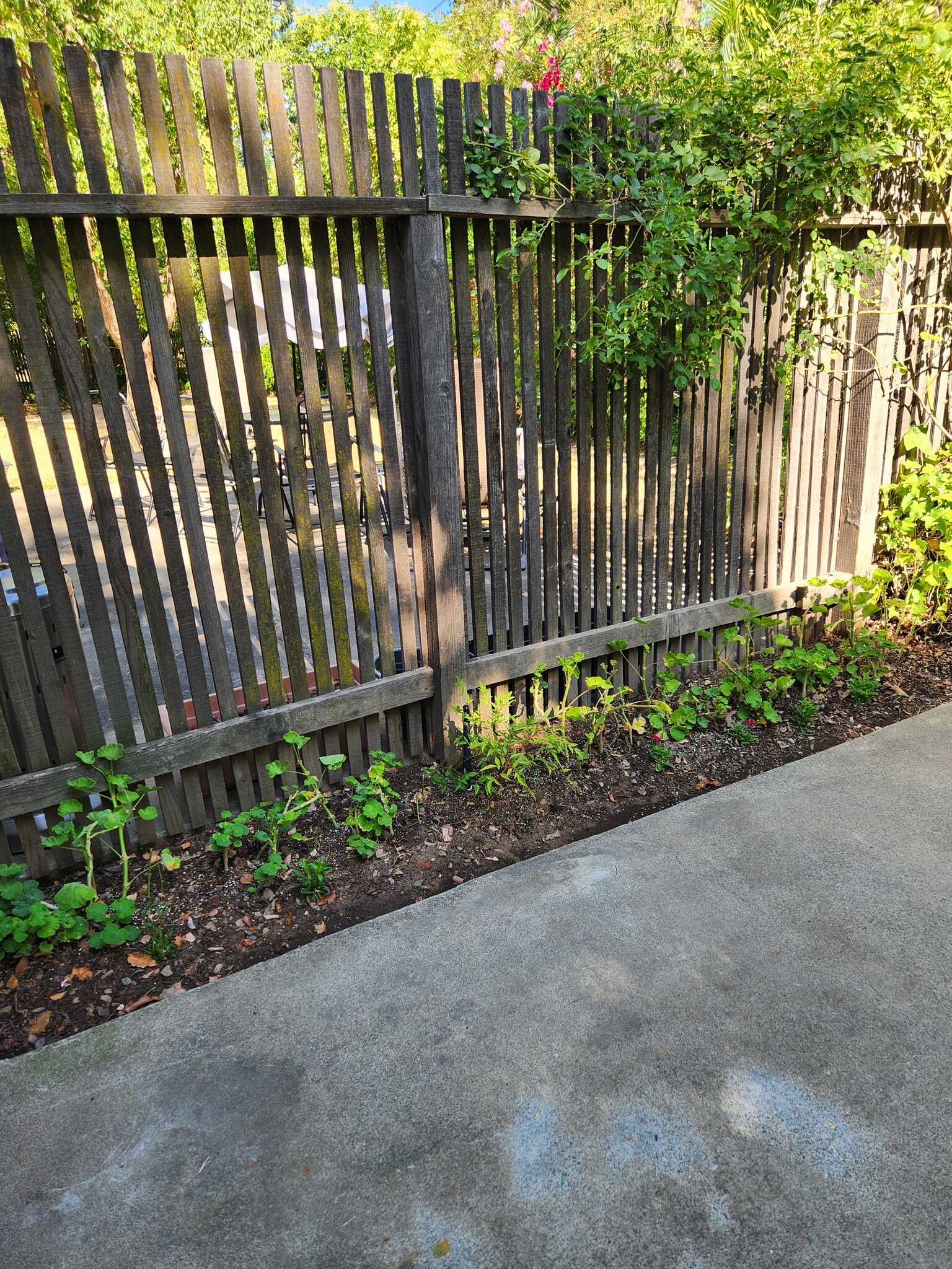 Building Photo - 6043 Leafwood Dr