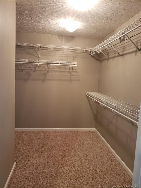 Building Photo - 7629 Galena Dr
