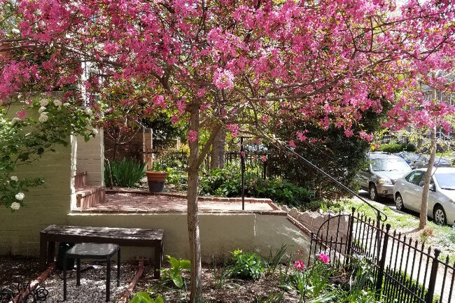 Primary Photo - 1745 Kilbourne Pl NW