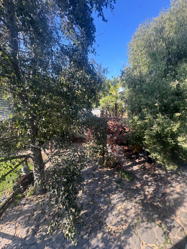 Building Photo - 1342 La Colina Dr