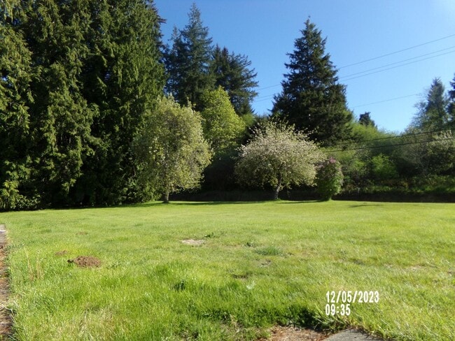 Building Photo - 3bd 2baHome Located in Montesano