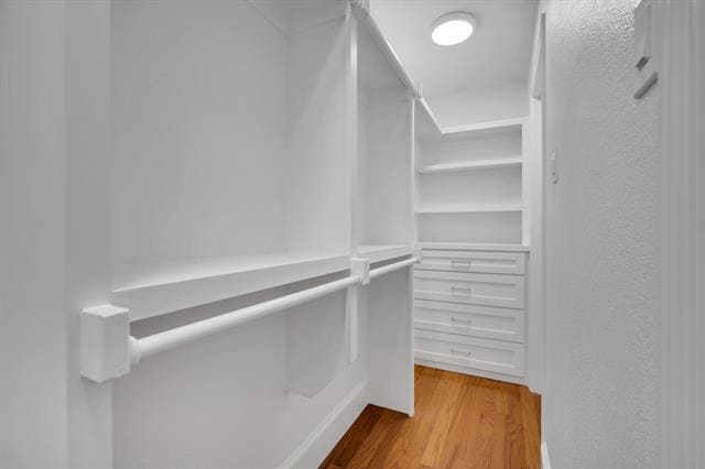 Building Photo - 209 Cody Hunter