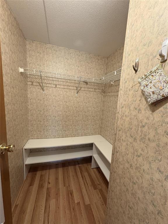 Building Photo - 616 Klickety Klak Ln