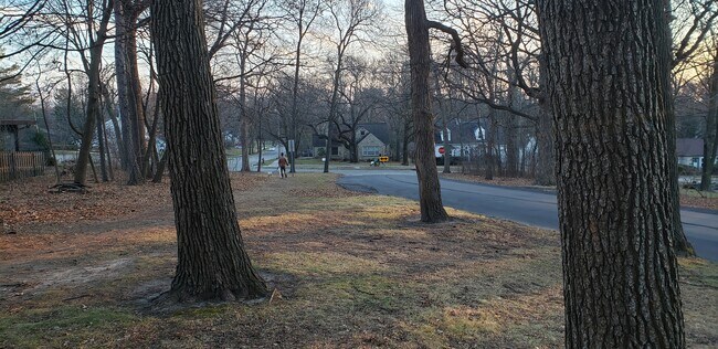 View from Park - 4101 Hillcrest Dr