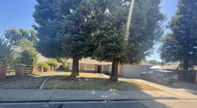 Building Photo - 3 Bedroom home in Sunset Park Subdivision