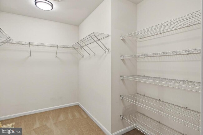 Building Photo - 21776 Ladyslipper Sq