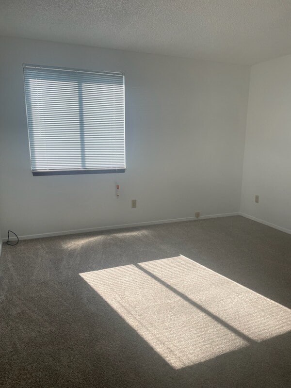 Master bedroom - 240 W Kyle Dr