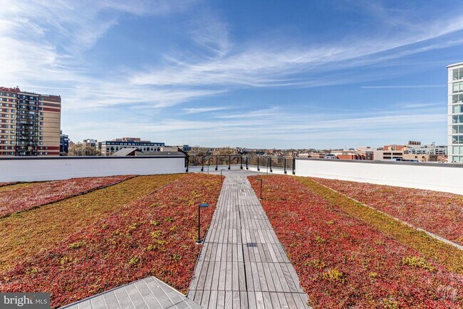 Building Photo - 801 N Fairfax St