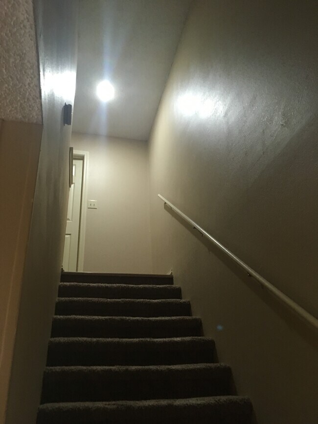 507 Valley Dr 507 Valley Dr Russellville AR 72802 Apartment Finder