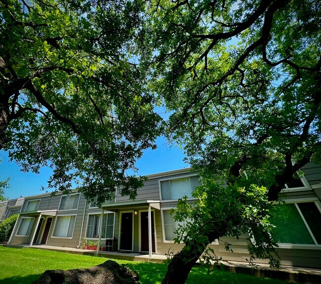 Building Photo - Treehouse Apartments