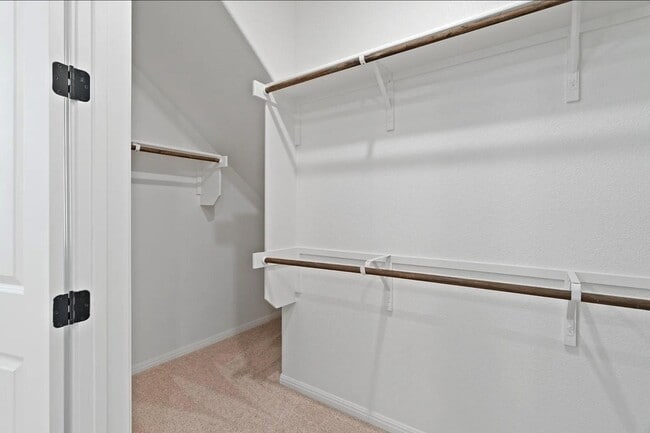 Building Photo - 1612 Kit Cir