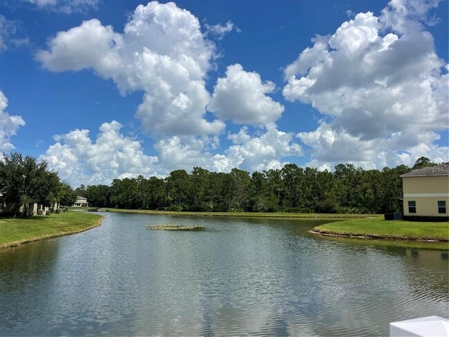 Building Photo - 20438 Needletree Dr