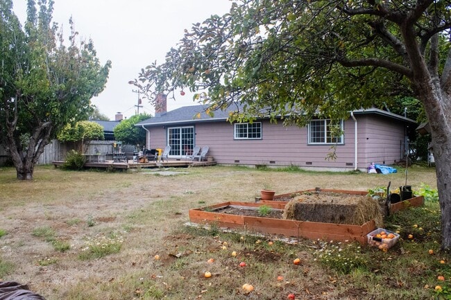 Building Photo - Three Bed Two Bath Home
