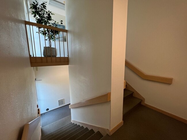 Building Photo - Beech St. Apartment